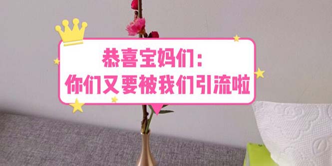 【副业项目5918期】恭喜宝妈们：你们又要被我们引流了（教程+222g资料）缩略图