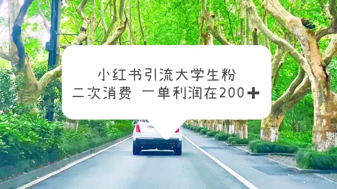 【副业项目5937期】小红书引流大学生粉，变现项目，一单利润在200+（教程+资源）缩略图