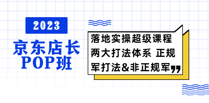 【副业项目5761期】2023京东店长·POP班 落地实操超级课程 两大打法体系 正规军&非正规军缩略图