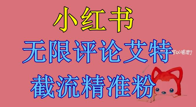 【副业项目6846期】小红书无限评论艾特截流精准粉（软件+教程）缩略图