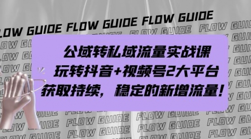 【副业项目7222期】公域转私域流量实战课，玩转抖音+视频号2大平台，获取持续，稳定的新增流量缩略图