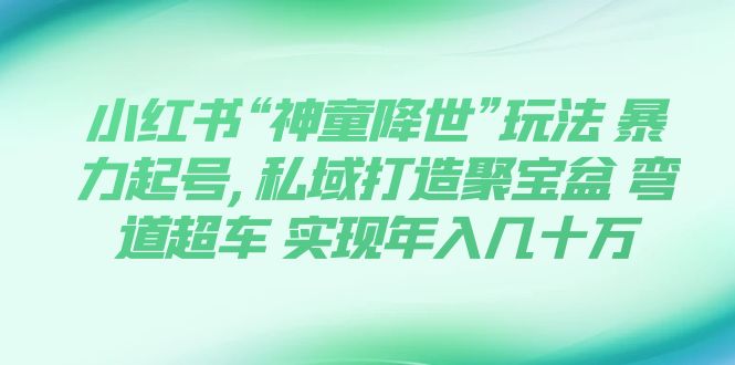 【副业项目7983期】小红书“神童降世”玩法 暴力起号,私域打造聚宝盆缩略图