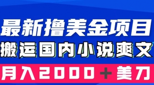 【副业项目8408期】国内小说爽文搬运到国外，复制粘贴一月2000+美金缩略图