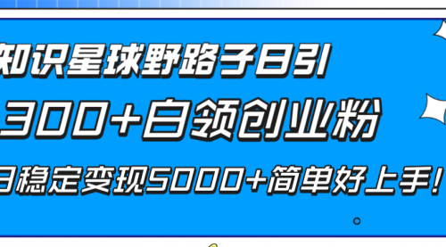 【副业项目8492期】知识星球野路子日引300+白领创业粉缩略图